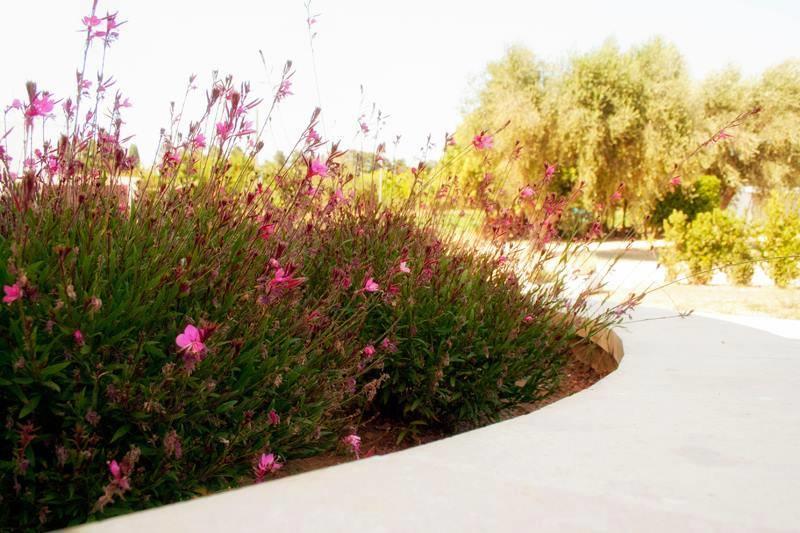 Agriturismo Fontanelle Otranto Zewnętrze zdjęcie